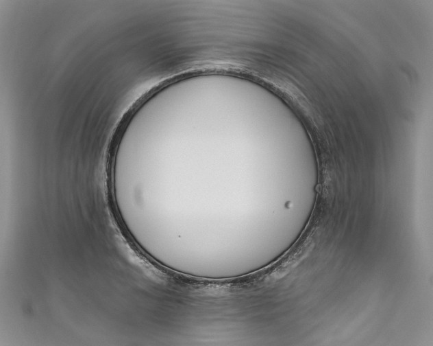 X0000110901038200907021533