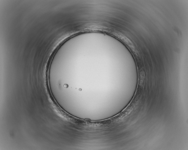 X0000110901039200907021533