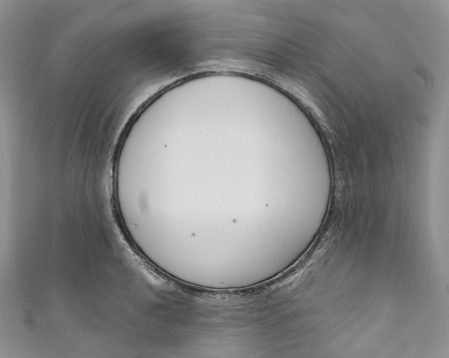 X0000110901040200907021533