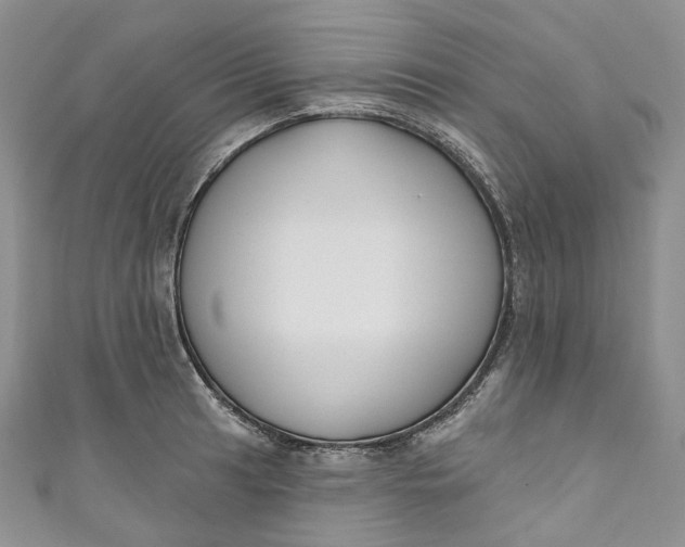 X0000110901041200907021533