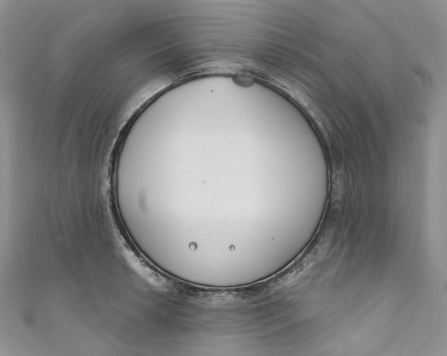 X0000110901042200907021533