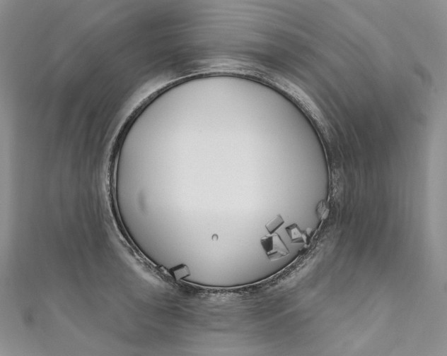 X0000110901043200907021533