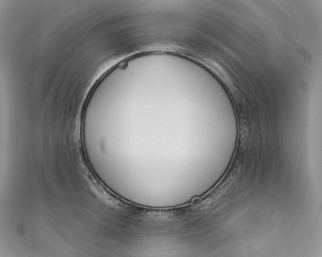 X0000110901044200907021533