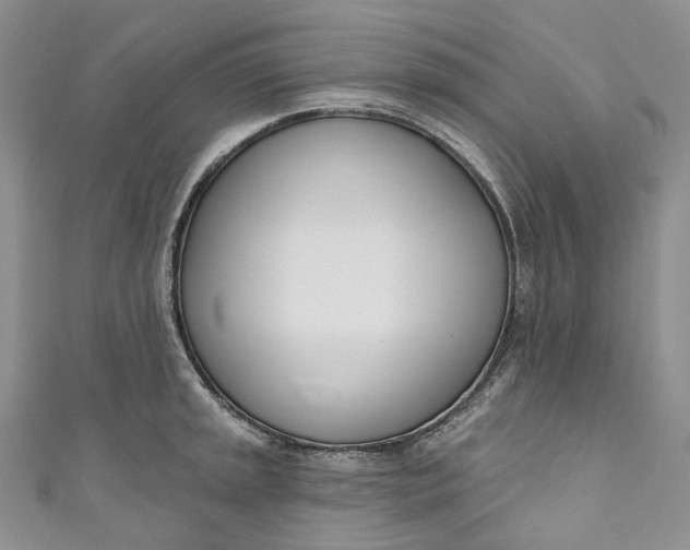 X0000110901045200907021533