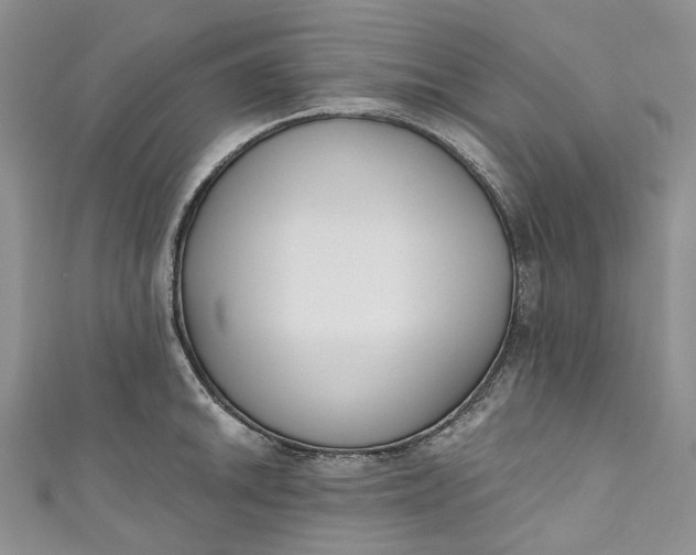 X0000110901046200907021533