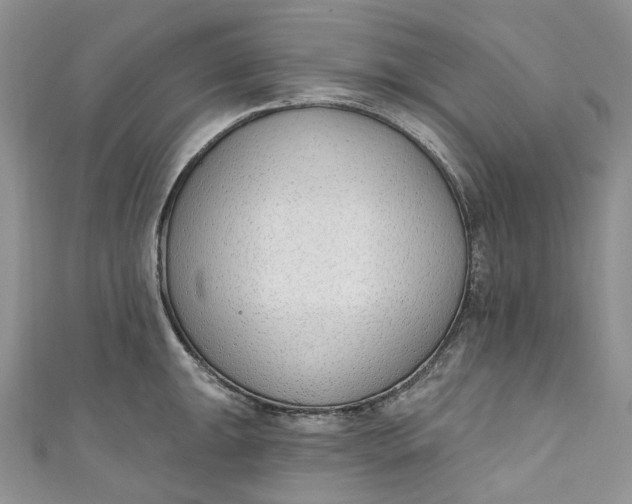 X0000110901047200907021533