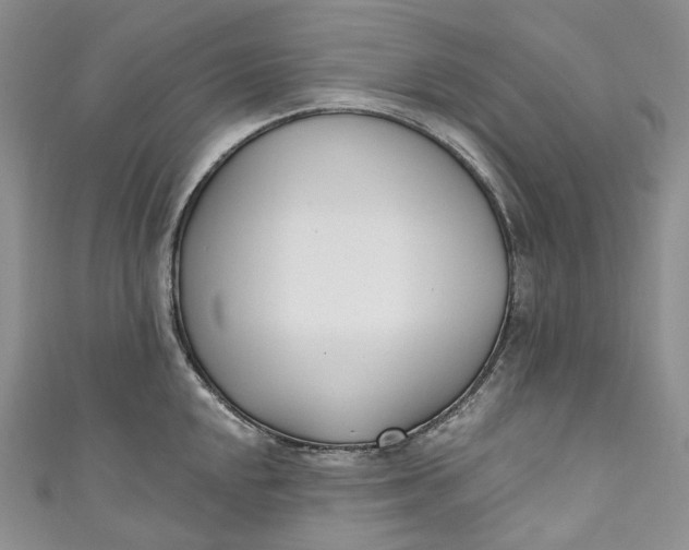 X0000110901048200907021533