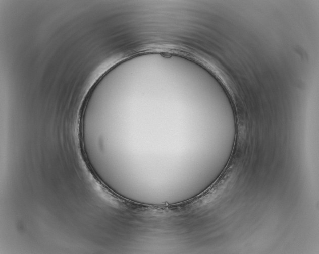 X0000110901050200907021533