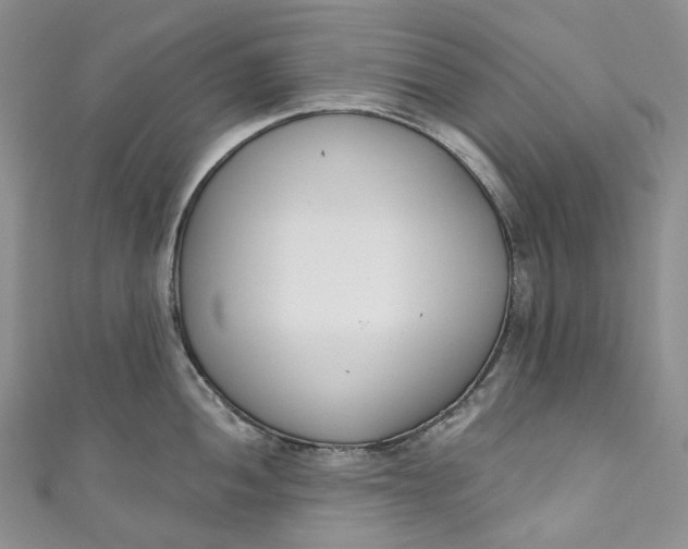 X0000110901052200907021533