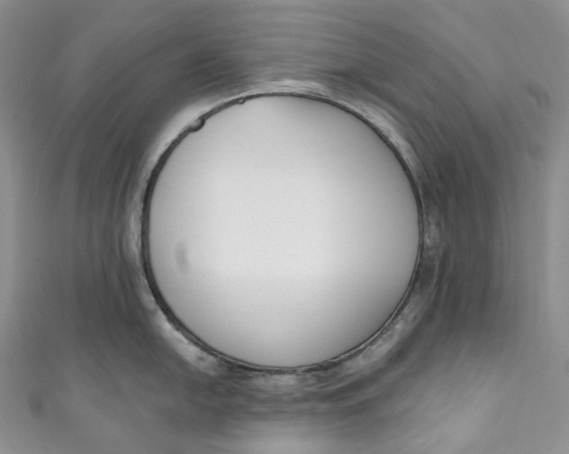 X0000110901054200907021533
