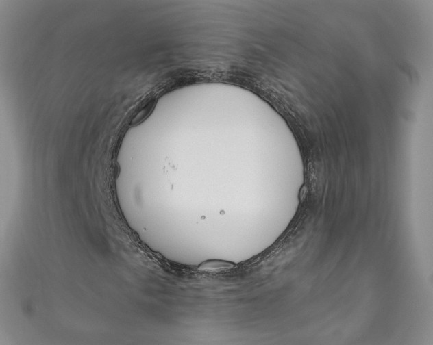 X0000110901057200907021533
