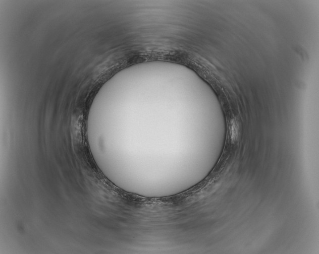 X0000110901059200907021533