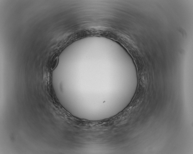 X0000110901061200907021533