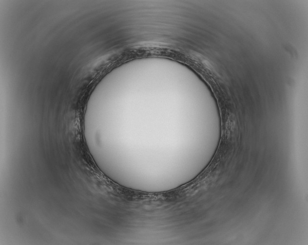X0000110901062200907021533