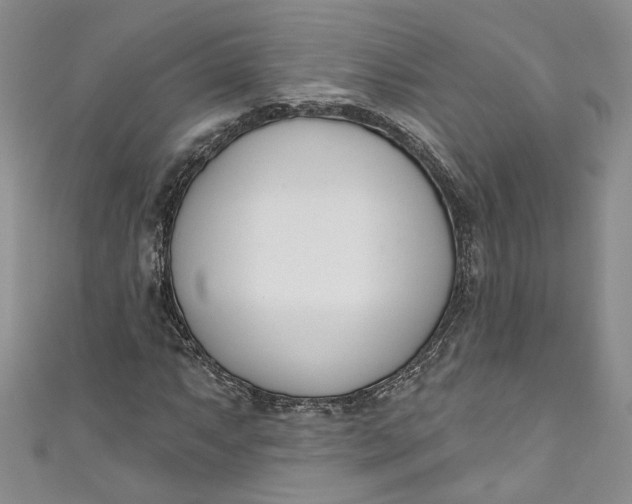 X0000110901063200907021533