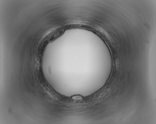 X0000110901064200907021533