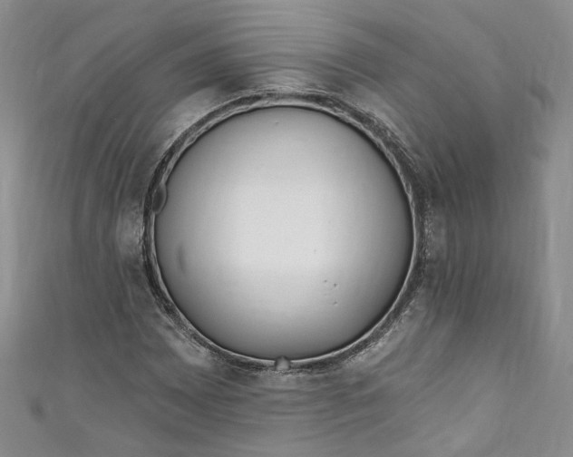 X0000110901065200907021533