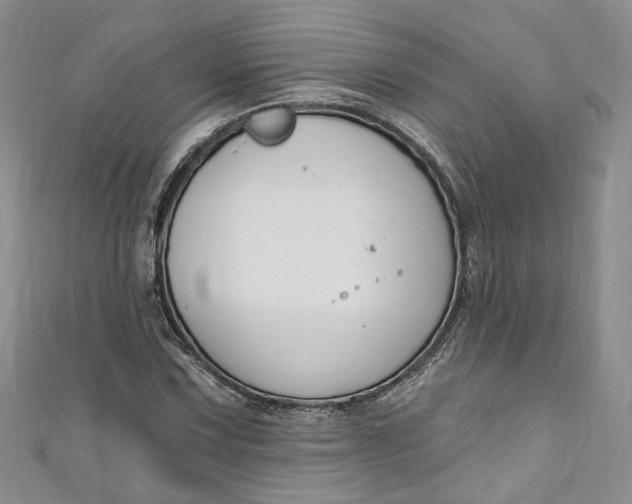 X0000110901067200907021533