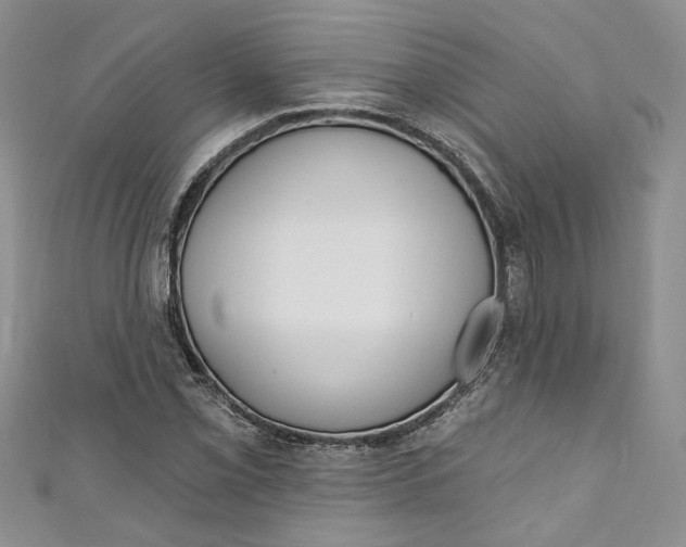 X0000110901069200907021533