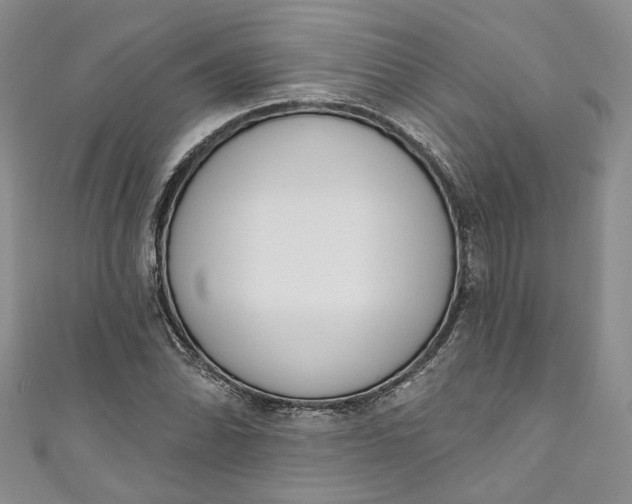 X0000110901070200907021533