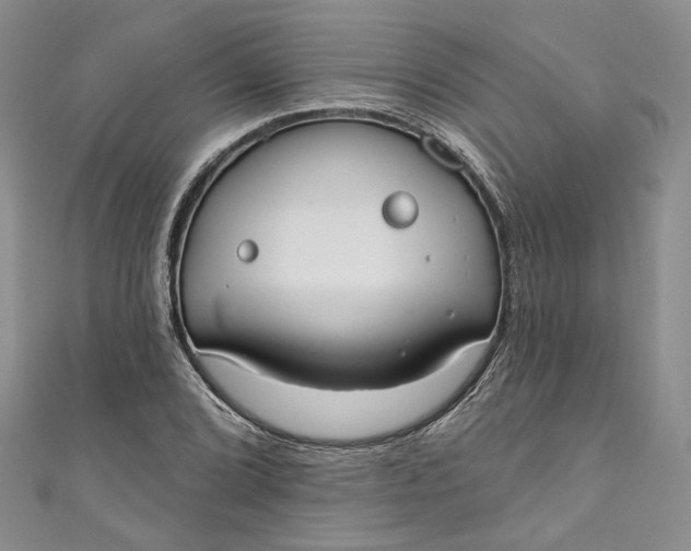 X0000110901072200907021533