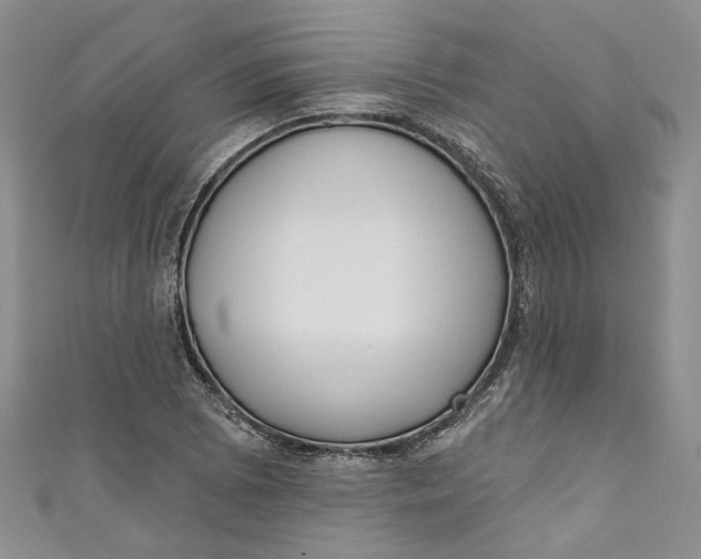 X0000110901073200907021533