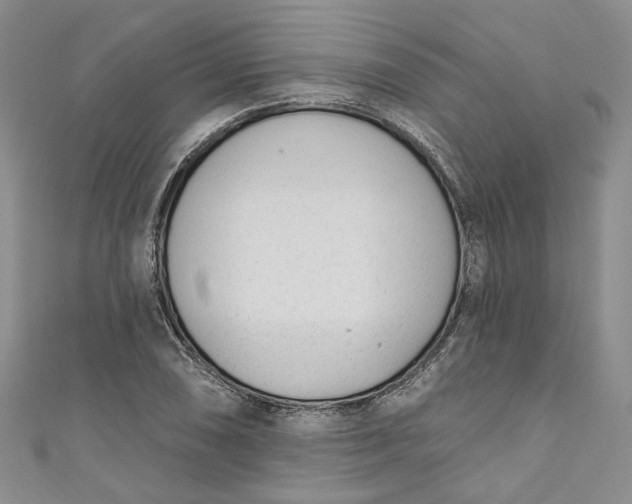 X0000110901074200907021533
