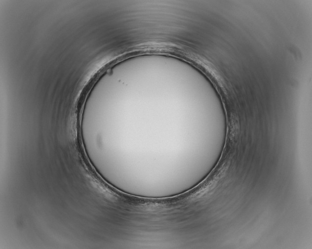 X0000110901075200907021533