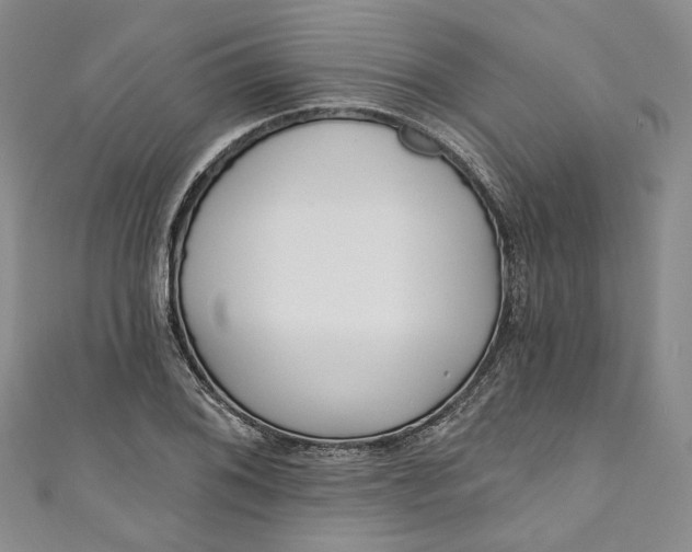 X0000110901076200907021533