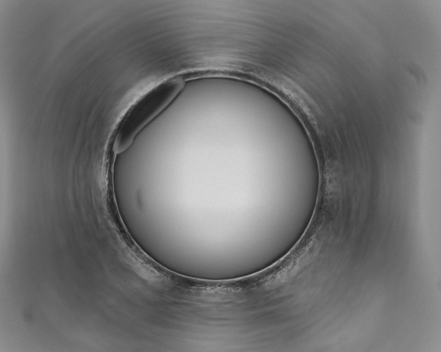 X0000110901077200907021533