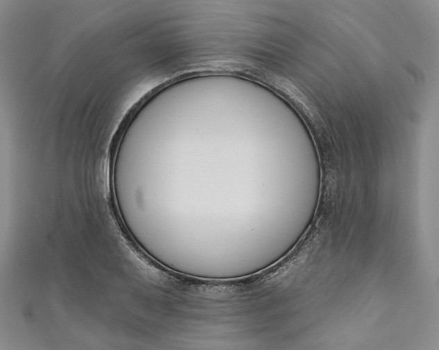 X0000110901079200907021533