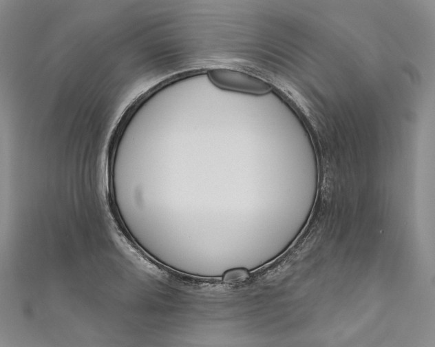 X0000110901080200907021533