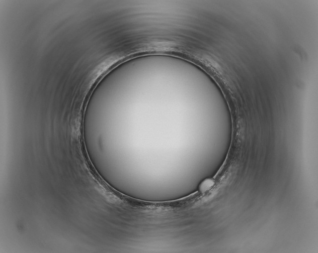 X0000110901081200907021533