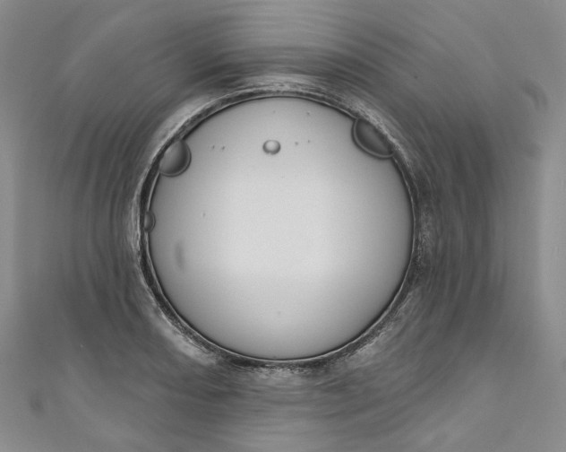 X0000110901082200907021532