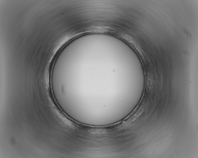 X0000110901083200907021532