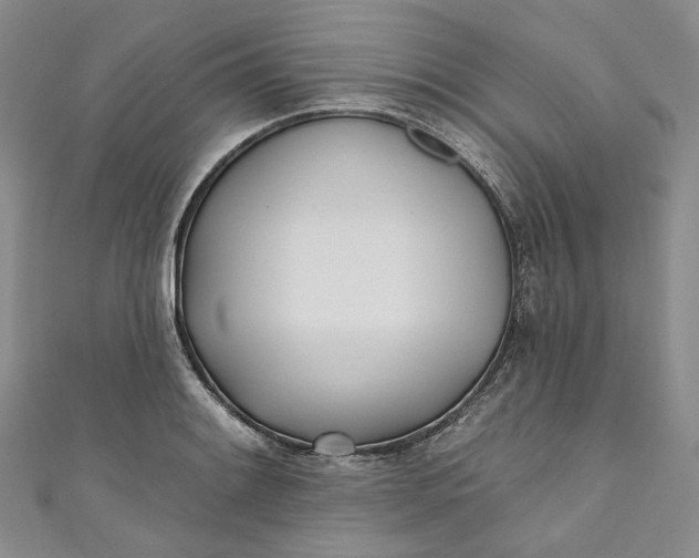 X0000110901084200907021532