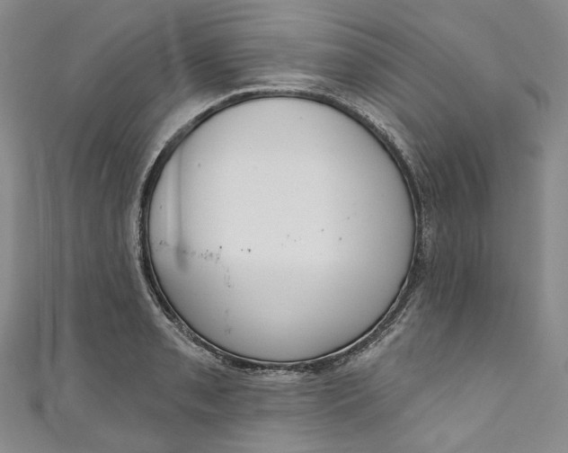 X0000110901085200907021532