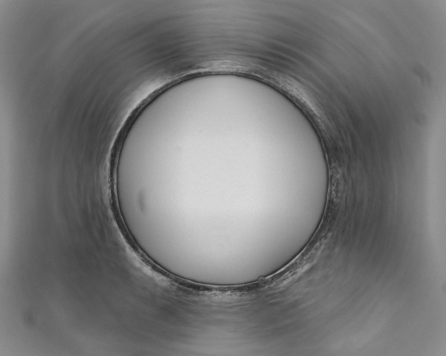 X0000110901087200907021532