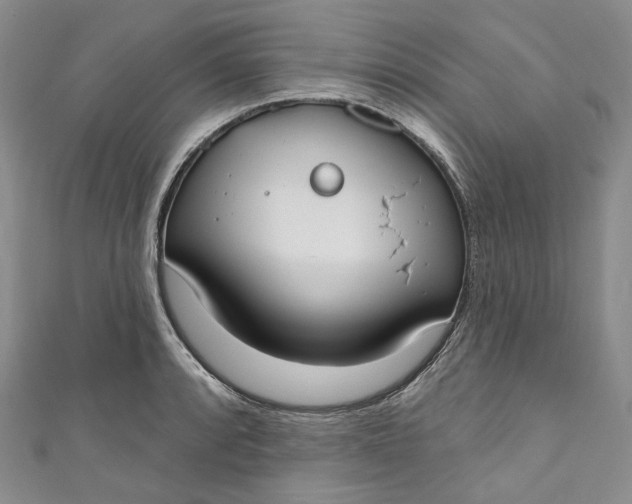 X0000110901088200907021532