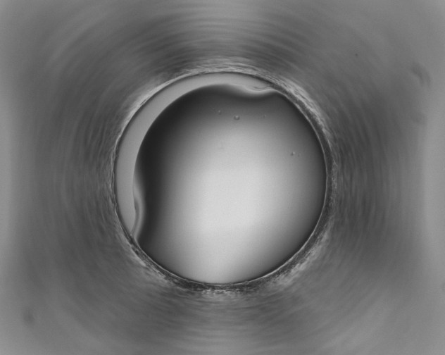 X0000110901089200907021532