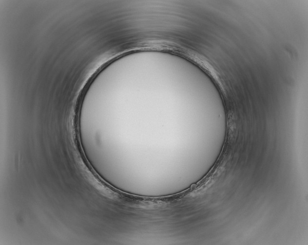 X0000110901091200907021532