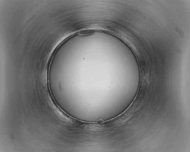 X0000110901092200907021532