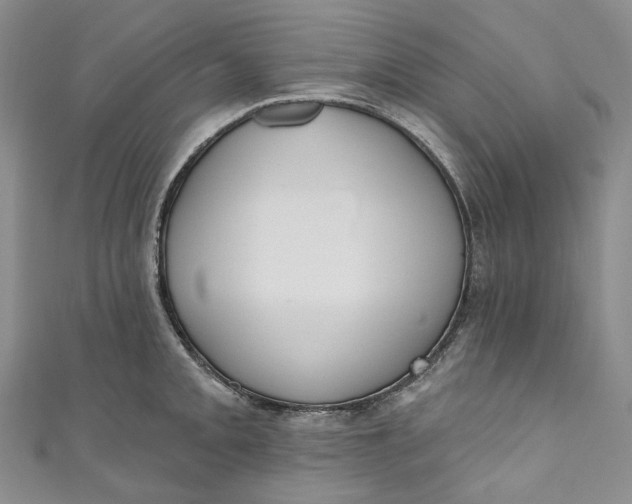 X0000110901093200907021532