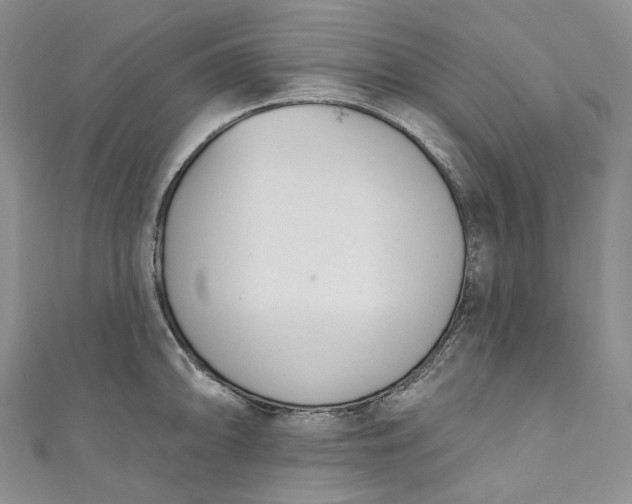 X0000110901094200907021532
