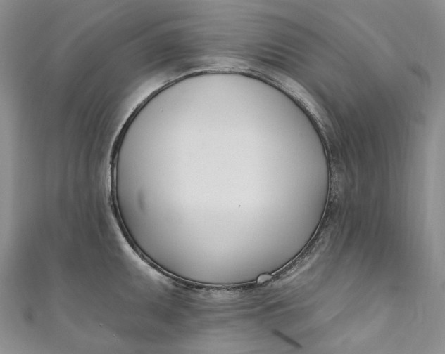 X0000110901095200907021532