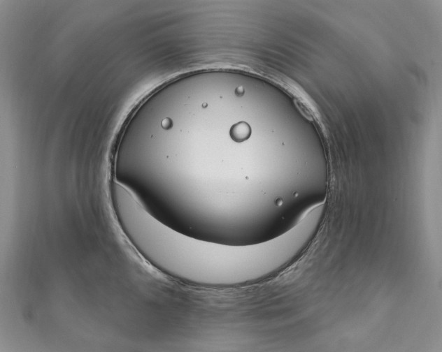 X0000110901096200907021532