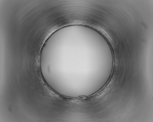 X0000110901097200907021532
