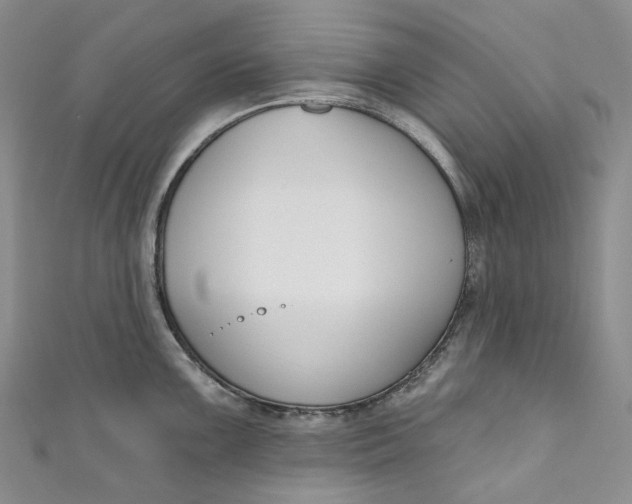 X0000110901099200907021532