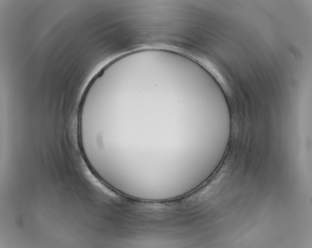 X0000110901100200907021532