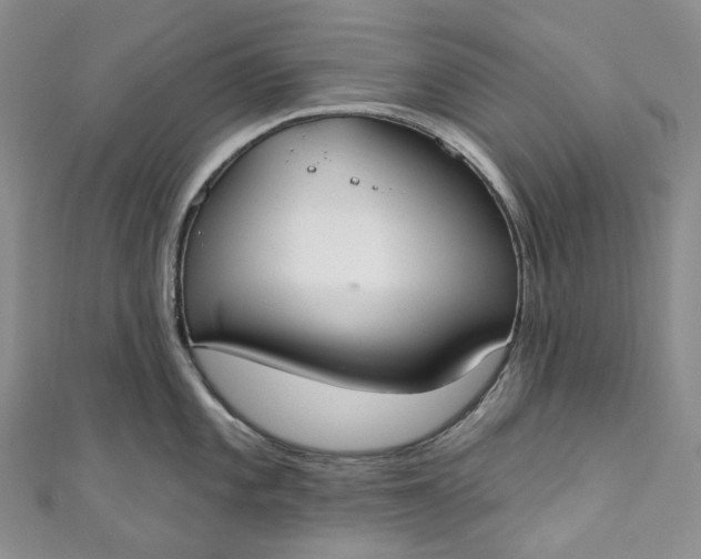 X0000110901101200907021532